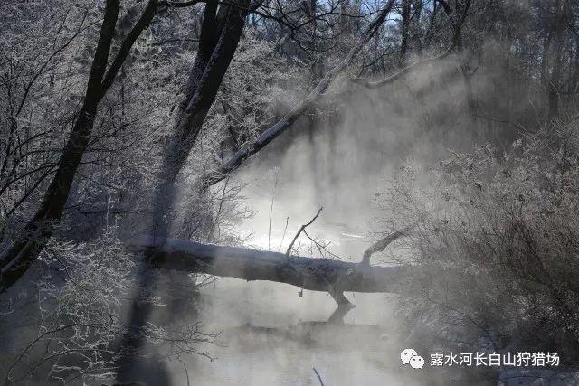 亚当寻找夏娃8
